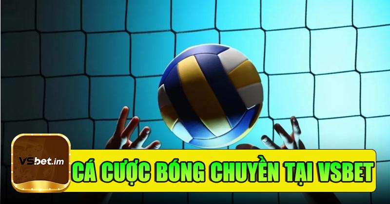 Vì sao nên chơi bóng chuyền tại VSBet?