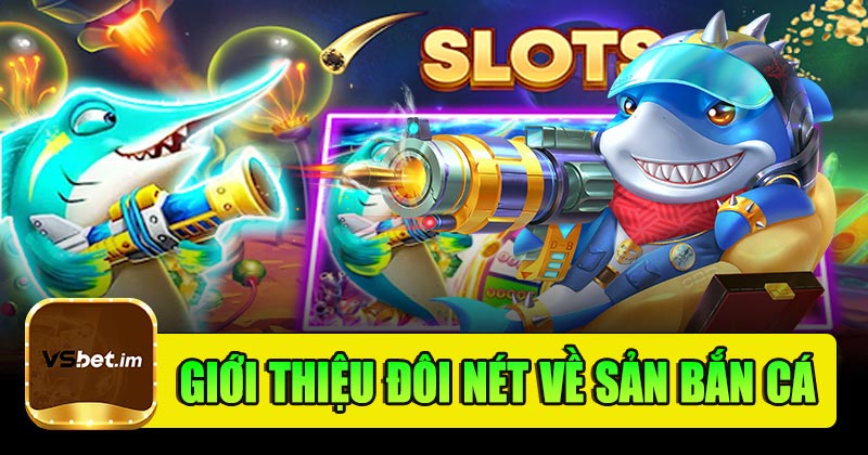 Giới thiệu đôi nét về sản bắn cá vsbet
