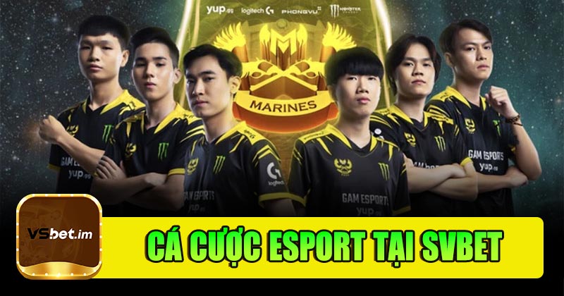 Tại sao nên chọn cược Esport tại SVBET?